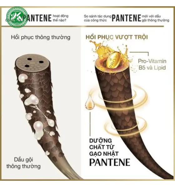 Dầu Gội Pantene Ngăn Rụng Tóc